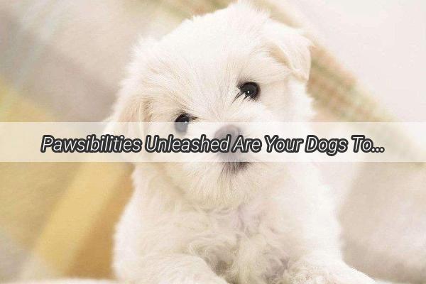 Pawsibilities Unleashed Are Your Dogs Toes as Fragile as They Seem